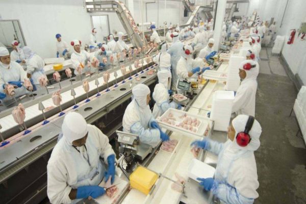 Vereador cobra vistorias da Vigilância em frigoríficos, com aumento de casos de covid-19