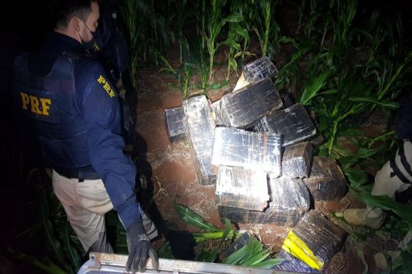 Imagem referente a notícia: PRF quase três toneladas de maconha em Pato Bragado (PR)