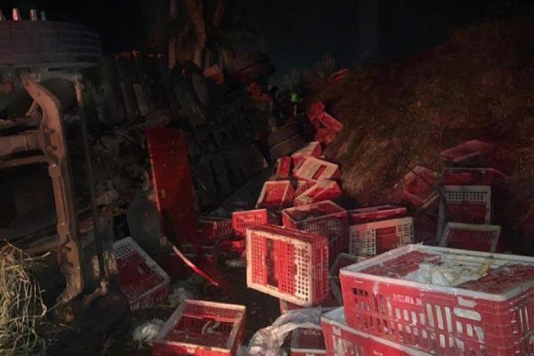 Imagem referente a notícia: Caminhão carregado com frangos tomba e carga é saqueada na BR-280