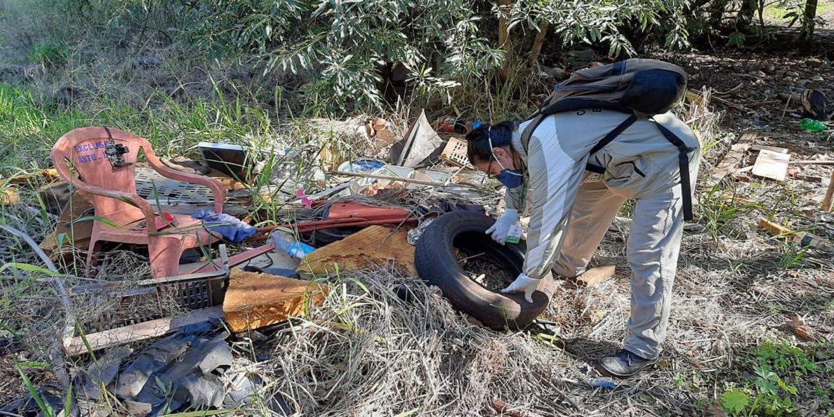 Com mais de 6,1 mil casos, combate à dengue deve ser incorporado na rotina dos cascavelenses