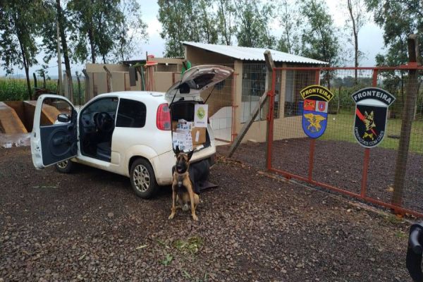 Imagem referente a notícia: BPFron apreende Uno carregado com cigarros contrabandeados em Marechal Rondon