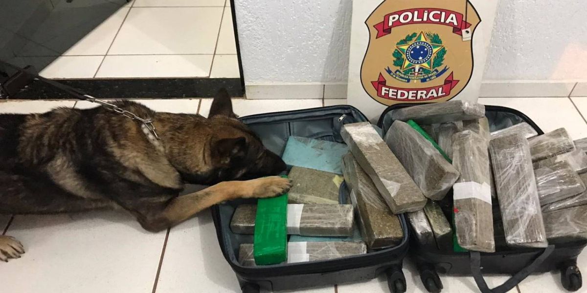 Polícia Federal prende homem em flagrante por tráfico de drogas em Céu Azul
