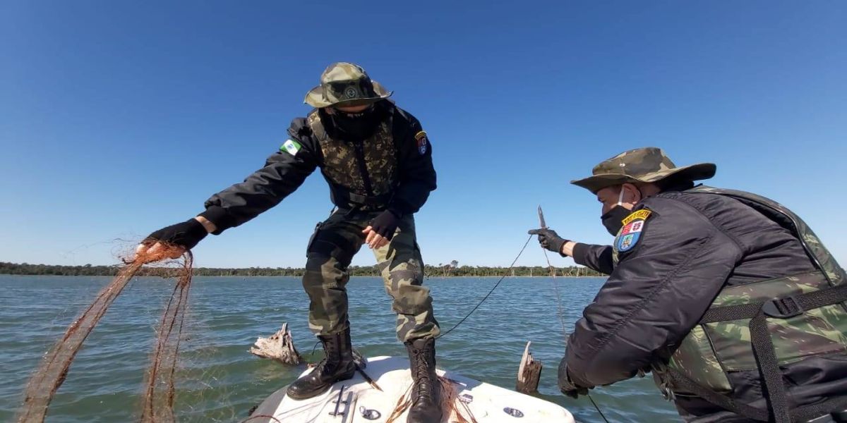 Dia do Meio Ambiente: Os efeitos danosos da caça ilegal