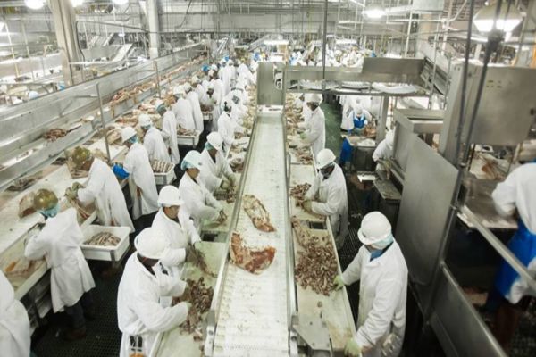 Saúde afirma que nesse momento não há necessidade de interdições de frigoríficos/abatedouros