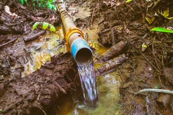 Proteção de nascentes ajuda área rural do Paraná a enfrentar a seca
