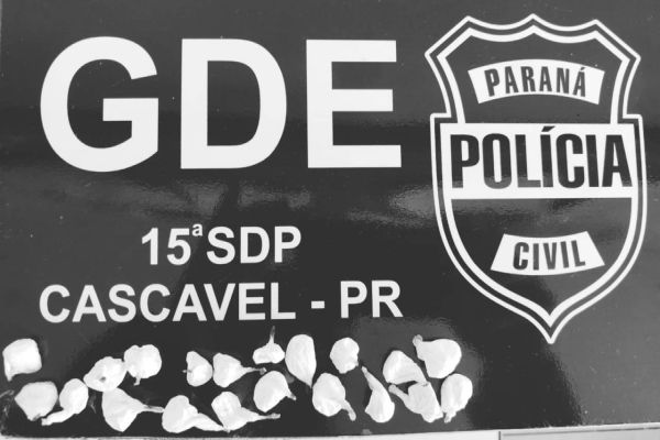 GDE apreende foragido da cadeia publica com 20 buchas de cocaína no Bairro Melissa