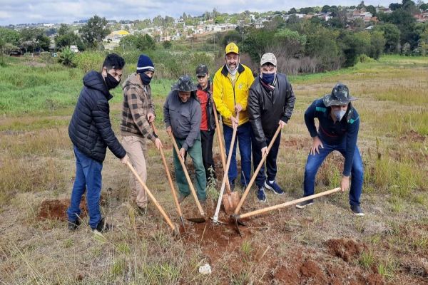 Grupo realiza cuidado de árvores plantadas no início do ano em loteamentos da região norte