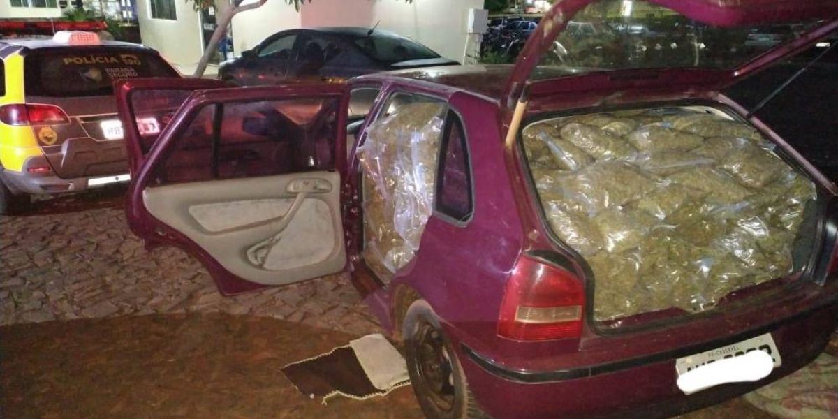 Ao atender acidente, Polícia Rodoviária prende mulher com 250 kg de maconha