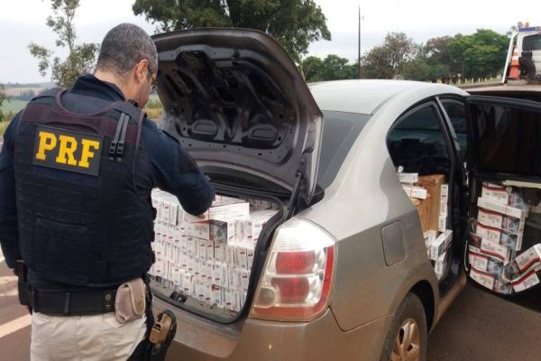Imagem referente a notícia: Em uma semana, PRF apreende mais de 700 quilos de maconha e R$ 4,5 milhões em cigarros no Paraná