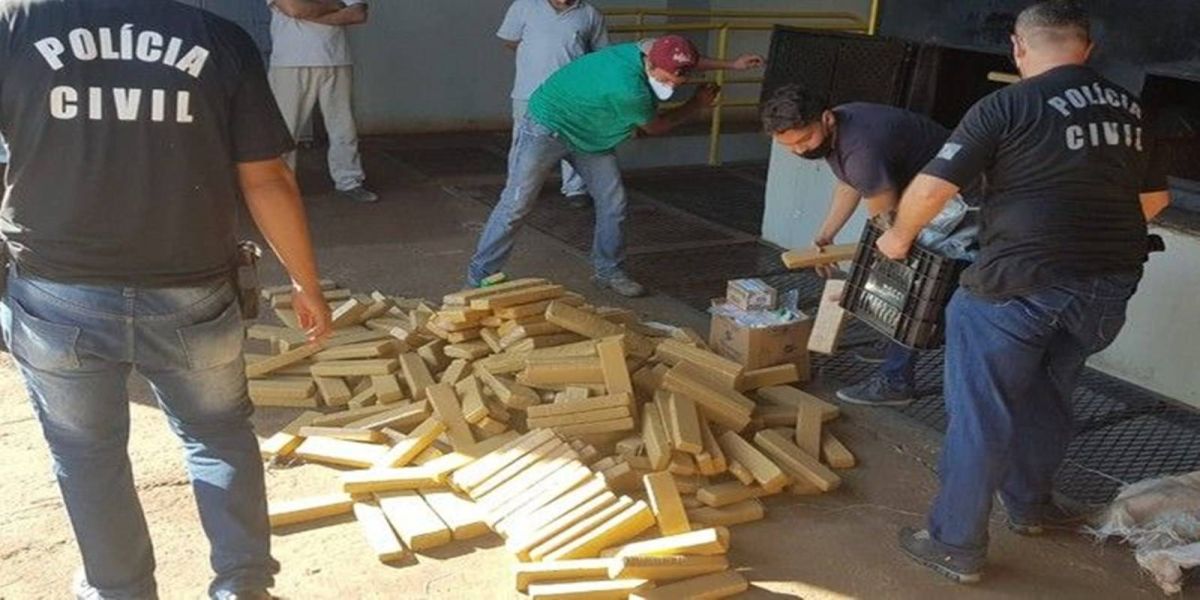 Palotina: Policia Civil e Fiscalização Sanitária incineram 253kg de drogas