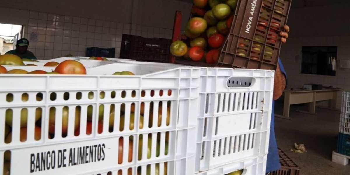 Cascavelense imprime gestão inovadora à frente da Ceasa