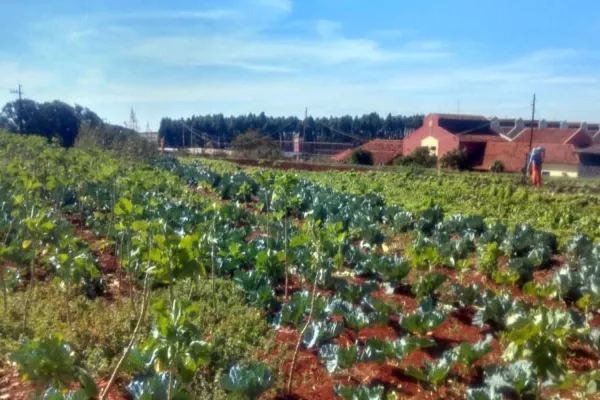 Foto relacionada a notícia: Horta da PIC ganha conceito de reaproveitamento e sustentabilidade
