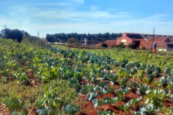 Horta da PIC ganha conceito de reaproveitamento e sustentabilidade
