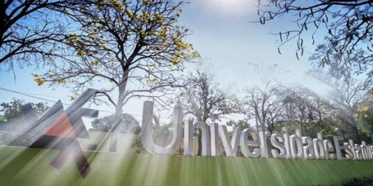 TCE cobra gestão responsável nas universidades paranaenses