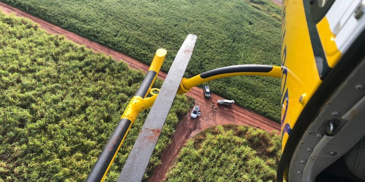 Op. Flagellum: Termina 1ª fase com 871 quilos de maconha e R$ 5,6 milhões em cigarros apreendidos