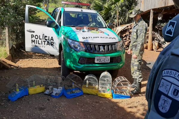 Homem é preso por manter 10 pássaros silvestres em cativeiro em Francisco Beltrão