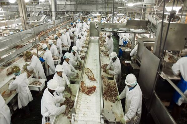 Governo determina medidas de prevenção e controle da Covid-19 em frigoríficos e indústrias