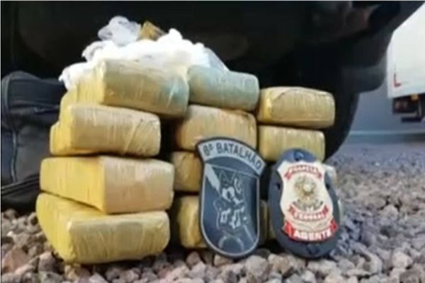 PF e Choque Canil, apreendem nove quilos de maconha no Cascavel Velho