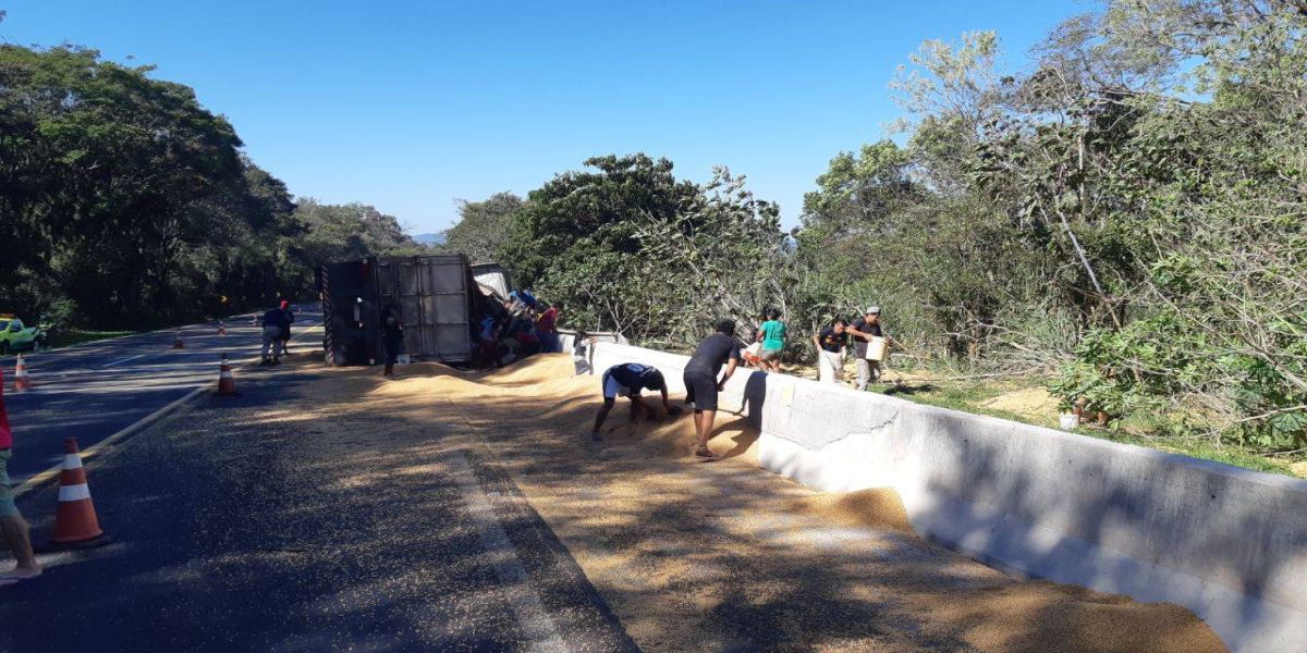 Carreta carregada com grãos de soja tomba na BR 277 e carga é saqueada por indígenas