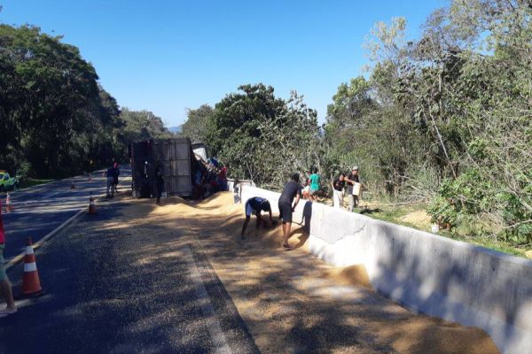 Carreta carregada com grãos de soja tomba na BR 277 e carga é saqueada por indígenas