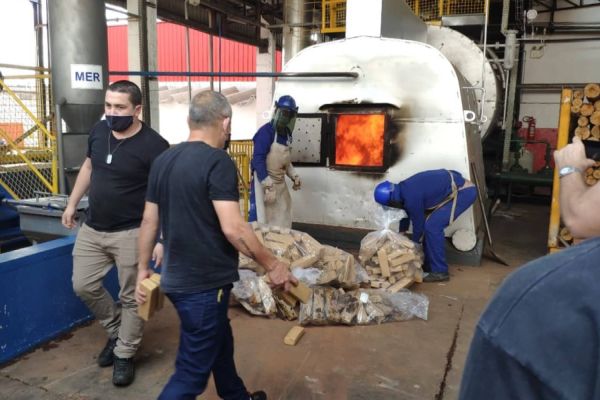 PCPR incinera uma tonelada de maconha em Cruzeiro do Oeste