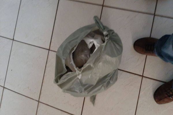 GDE: prende em flagrante homem com droga no Bairro Santo Onofre