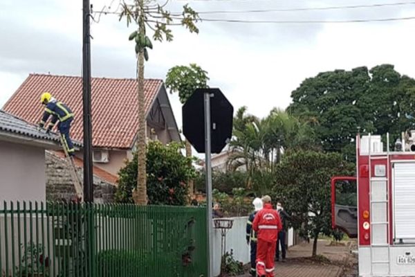 Princípio de incêndio mobiliza equipe do Corpo de Bombeiros no Bairro Tropical