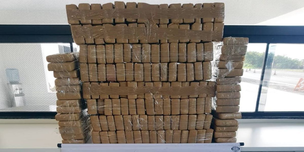 PRE Iporã apreende mais de 100 kg de maconha e detêm uma pessoa