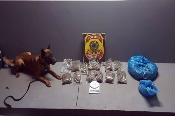 Polícia Federal e Choque apreende duas pessoas com 5,9 kg de maconha no Bairro Cataratas
