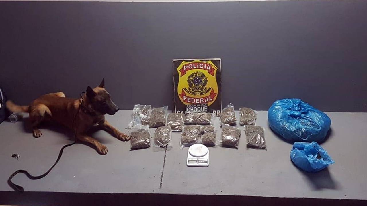 Polícia Federal e Choque apreende duas pessoas com 5,9 kg de maconha no Bairro Cataratas