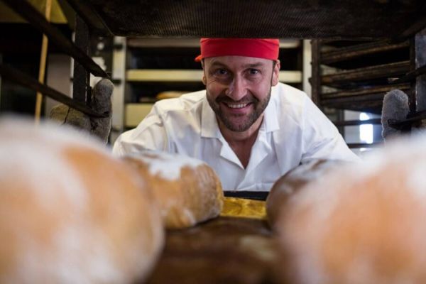 Tech by Sebrae cria jornada de crescimento para pequenas empresas