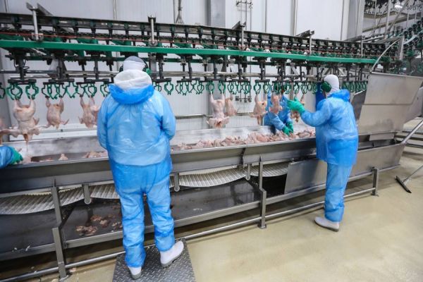 Paraná adota medidas de prevenção e controle em frigoríficos