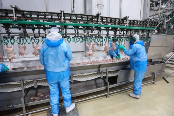 Saúde adota medidas de prevenção e controle em frigoríficos