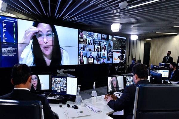 Rose propõe aumento de penas para violência doméstica durante calamidade