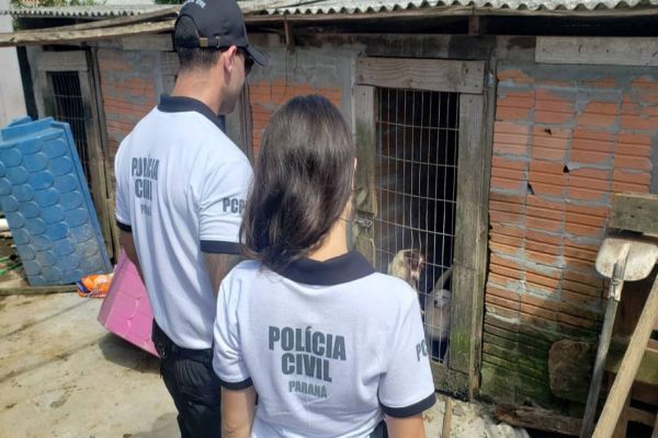 Polícia Civil resgatou 400 animais no primeiro semestre na RMC