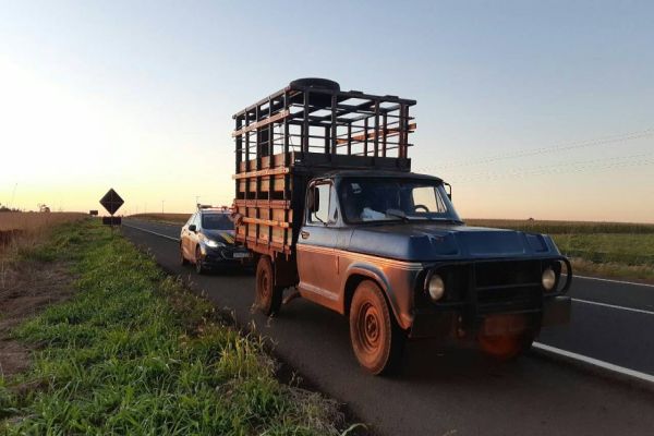 PRF recupera caminhonete furtada em Toledo