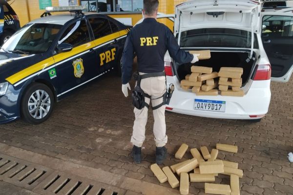 PRF bate recorde e apreende 66 toneladas de drogas no Paraná durante o 1º semestre