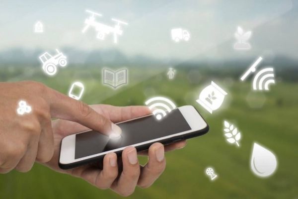 Circuito Digital IHARA democratiza o conteúdo digital e Leva Informação para agricultores