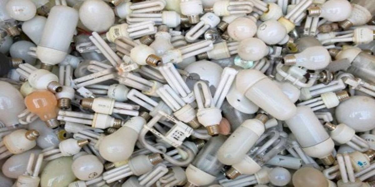 Lâmpadas fluorescentes serão recolhidas pela primeira vez em Guaraniaçu