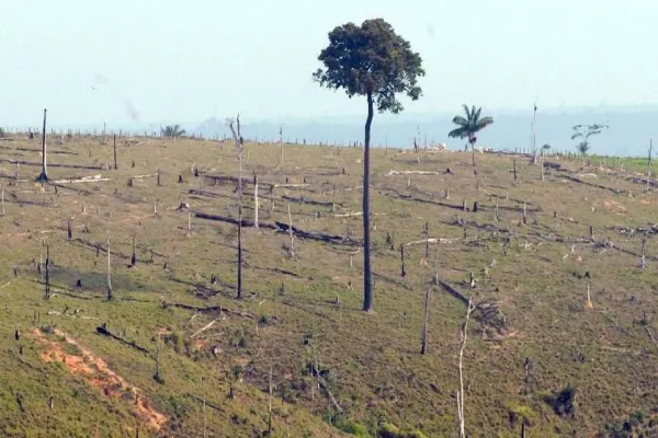 Foto relacionada a notícia: Governo prorroga presença das Forças Armadas na Amazônia Legal