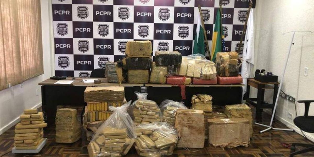 Denarc e NOC fazem apreensão de 562 Kg de maconha