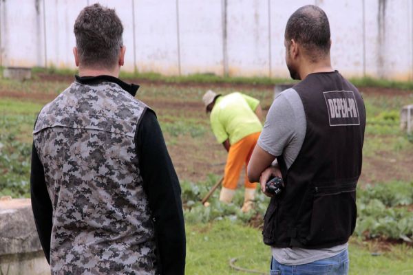 Paraná recebe selo nacional por oferta de atividades profissionais aos presos