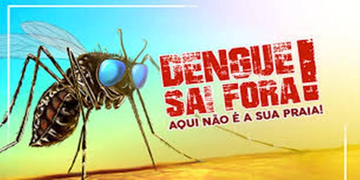 Em um ano, quase 228 mil pessoas tiveram dengue no Paraná