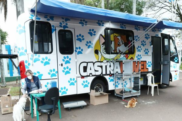Mais de 130 animais já foram operados com excelência pelo Castramóvel