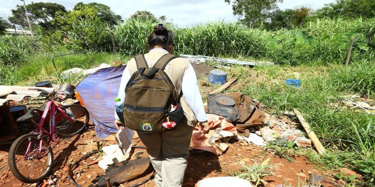 Boletim da dengue aponta mais de 7,8 mil casos confirmados em Cascavel