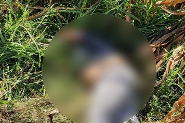 Homem é encontrado morto em milharal, com diversas perfuração pelo corpo em Terra Roxa