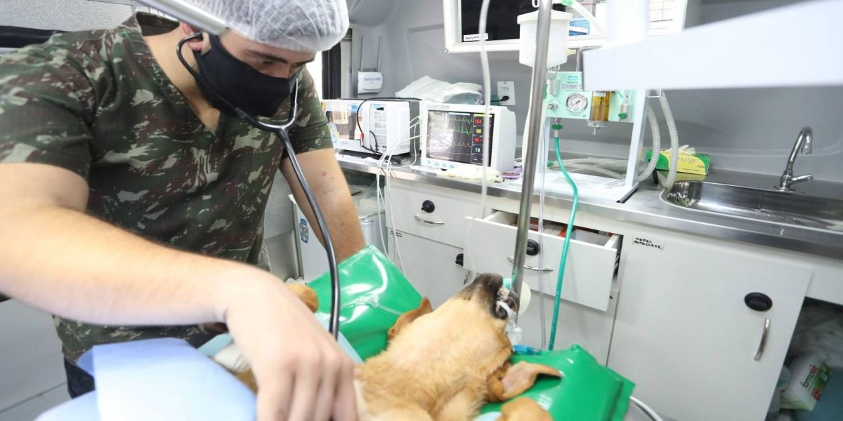 Castramóvel volta aos bairros com primeira parada no Estádio Olímpico