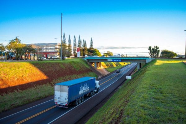 Sancionada lei de Pacheco que denomina Arlindo Carelli viaduto na BR-277 em Cascavel