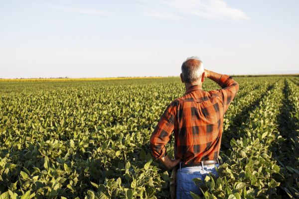 Do campo para a mesa: o trabalho indispensável dos agricultores