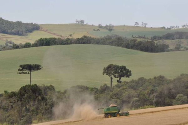 IDR-Paraná completa 200 dias de existência